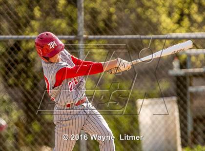 Thumbnail 3 in Dixie @ Lloyd photogallery.