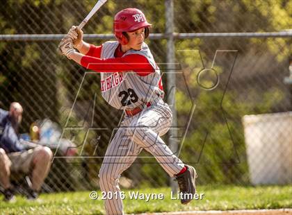 Thumbnail 1 in Dixie @ Lloyd photogallery.
