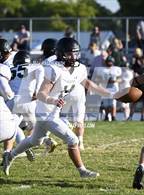 Photo from the gallery "Paradise @ Orland"