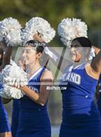 Photo from the gallery "Paradise @ Orland"