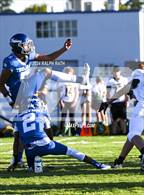 Photo from the gallery "Paradise @ Orland"