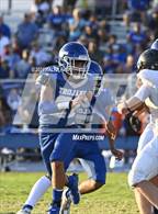 Photo from the gallery "Paradise @ Orland"