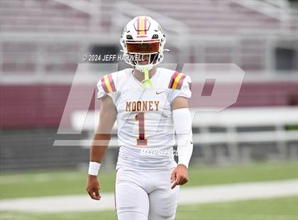 Thumbnail 1 in Cardinal Mooney @ Boardman photogallery.