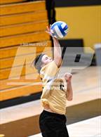Photo from the gallery "Eaglecrest @ Rock Canyon"
