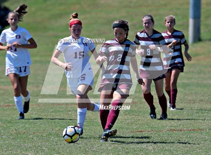 Thumbnail 2 in Bartlett vs. Bearden photogallery.