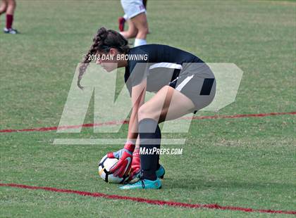 Thumbnail 2 in Bartlett vs. Bearden photogallery.