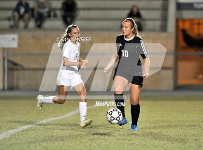 Thumbnail 1 in Wiregrass Ranch @ Pasco photogallery.