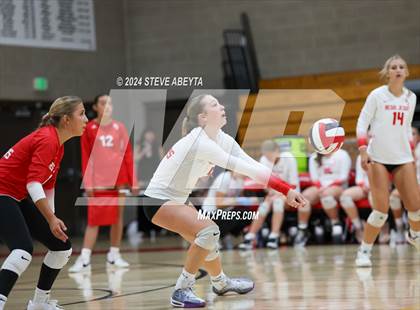 Thumbnail 1 in Columbine @ Regis Jesuit photogallery.