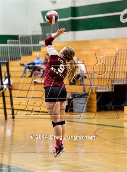 Thumbnail 1 in Cardinal Newman @ Maria Carrillo photogallery.