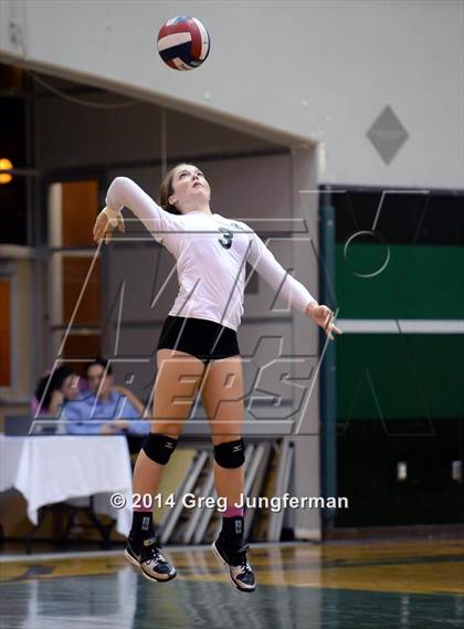 Thumbnail 2 in Cardinal Newman @ Maria Carrillo photogallery.