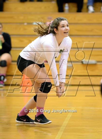 Thumbnail 2 in Cardinal Newman @ Maria Carrillo photogallery.
