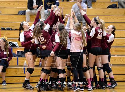 Thumbnail 2 in Cardinal Newman @ Maria Carrillo photogallery.