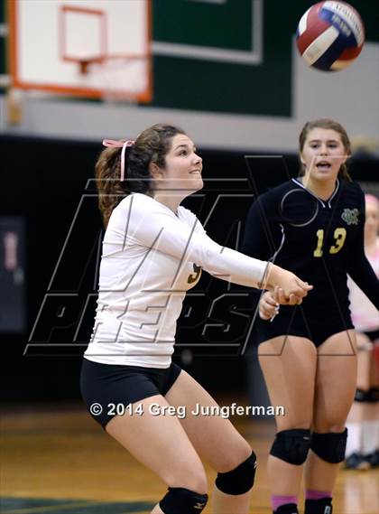 Thumbnail 3 in Cardinal Newman @ Maria Carrillo photogallery.