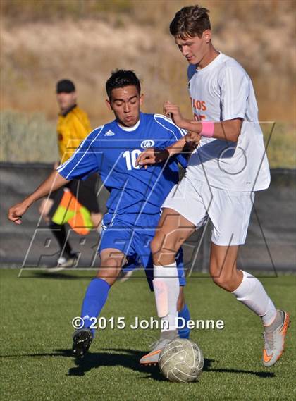 Thumbnail 1 in Questa @ Taos photogallery.