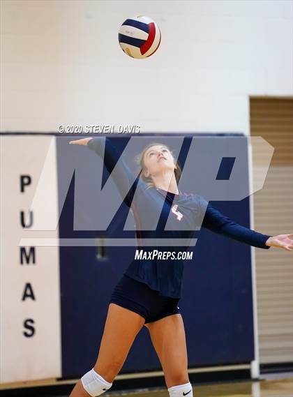 Thumbnail 1 in Basha @ Perry photogallery.