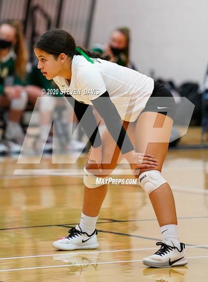 Thumbnail 3 in Basha @ Perry photogallery.