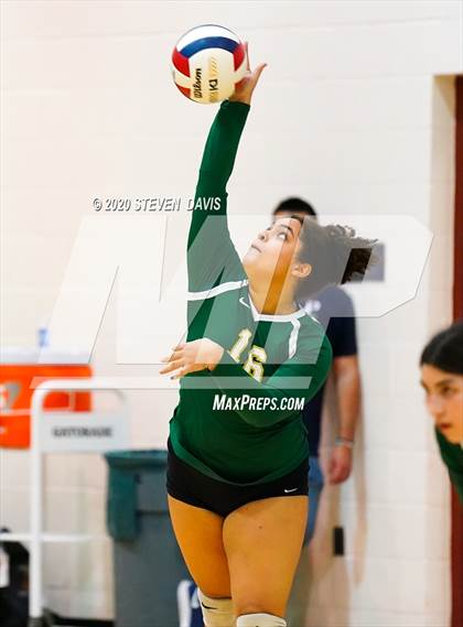 Thumbnail 3 in Basha @ Perry photogallery.