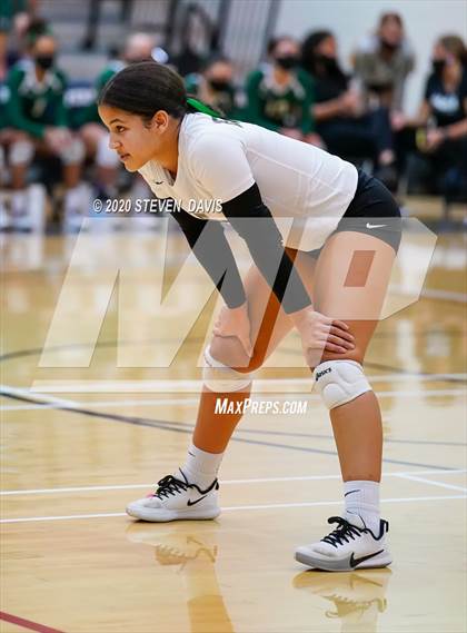 Thumbnail 2 in Basha @ Perry photogallery.
