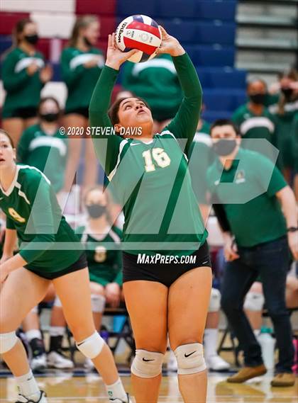 Thumbnail 3 in Basha @ Perry photogallery.