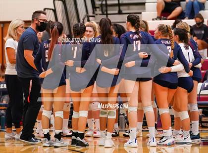 Thumbnail 1 in Basha @ Perry photogallery.