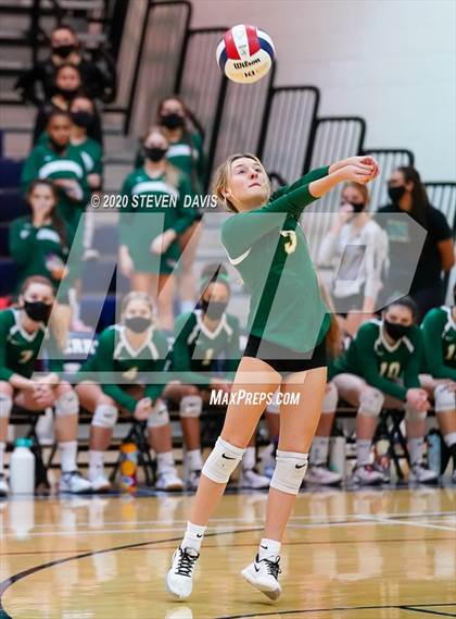 Thumbnail 3 in Basha @ Perry photogallery.