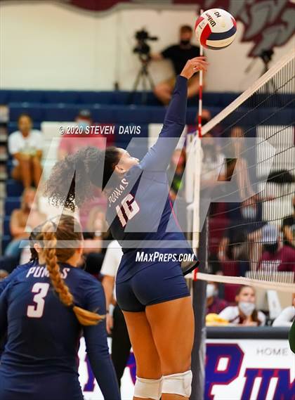 Thumbnail 1 in Basha @ Perry photogallery.
