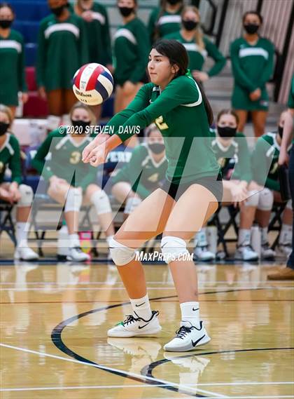 Thumbnail 3 in Basha @ Perry photogallery.