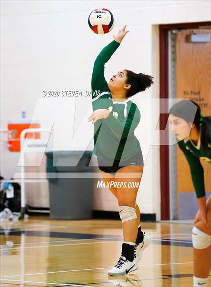 Thumbnail 1 in Basha @ Perry photogallery.