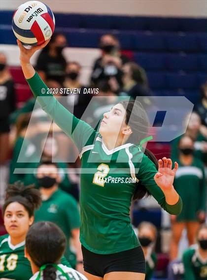 Thumbnail 2 in Basha @ Perry photogallery.