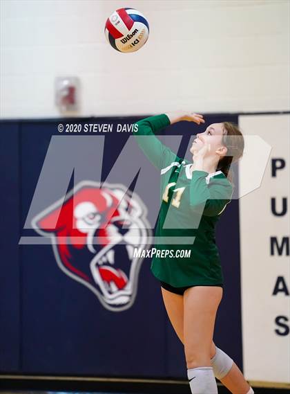Thumbnail 2 in Basha @ Perry photogallery.