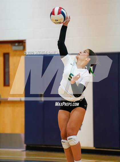 Thumbnail 1 in Basha @ Perry photogallery.