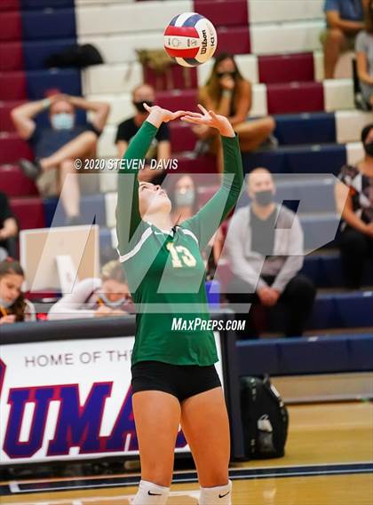 Thumbnail 1 in Basha @ Perry photogallery.