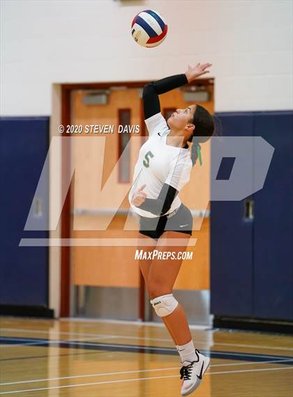 Thumbnail 3 in Basha @ Perry photogallery.