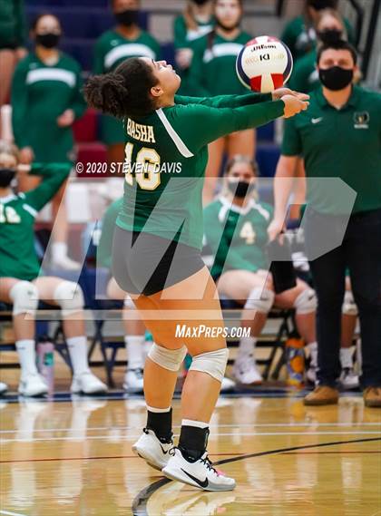 Thumbnail 2 in Basha @ Perry photogallery.