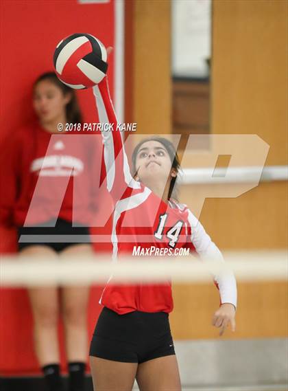 Thumbnail 3 in Madison County @ Mason photogallery.
