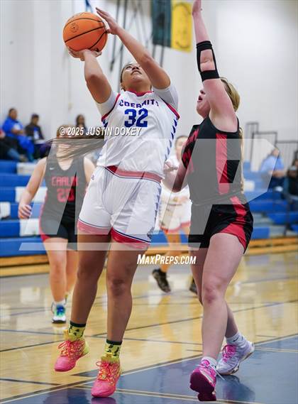 Thumbnail 1 in Carlin @ McDermitt photogallery.