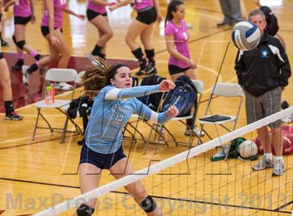 Thumbnail 2 in Coventry vs Medfield (2013 Volleyhall Classic) photogallery.