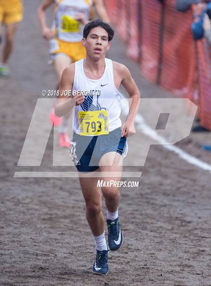 Thumbnail 1 in CIF State Cross Country Championships (Boys D2 Race) photogallery.