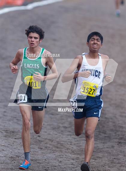 Thumbnail 3 in CIF State Cross Country Championships (Boys D2 Race) photogallery.