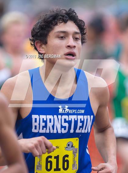 Thumbnail 3 in CIF State Cross Country Championships (Boys D2 Race) photogallery.