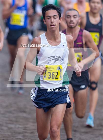 Thumbnail 2 in CIF State Cross Country Championships (Boys D2 Race) photogallery.