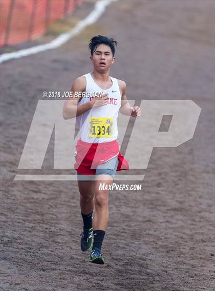 Thumbnail 2 in CIF State Cross Country Championships (Boys D2 Race) photogallery.