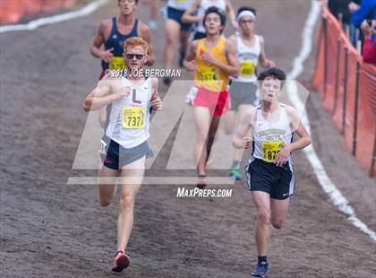 Thumbnail 2 in CIF State Cross Country Championships (Boys D2 Race) photogallery.