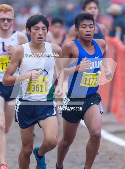 Thumbnail 1 in CIF State Cross Country Championships (Boys D2 Race) photogallery.