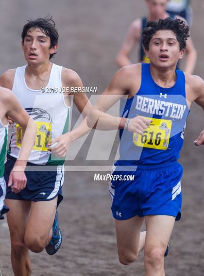 Thumbnail 3 in CIF State Cross Country Championships (Boys D2 Race) photogallery.