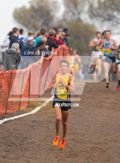 Thumbnail 2 in CIF State Cross Country Championships (Boys D2 Race) photogallery.