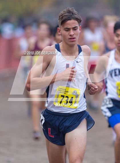 Thumbnail 1 in CIF State Cross Country Championships (Boys D2 Race) photogallery.