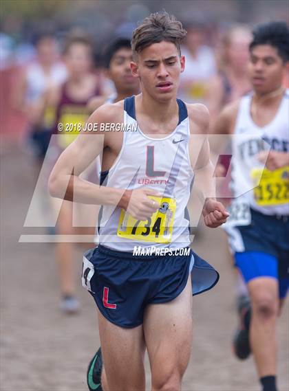 Thumbnail 2 in CIF State Cross Country Championships (Boys D2 Race) photogallery.