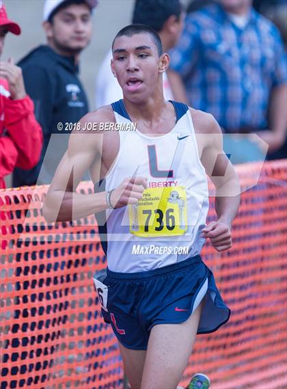 Thumbnail 3 in CIF State Cross Country Championships (Boys D2 Race) photogallery.