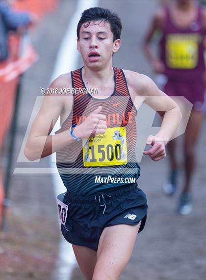 Thumbnail 2 in CIF State Cross Country Championships (Boys D2 Race) photogallery.